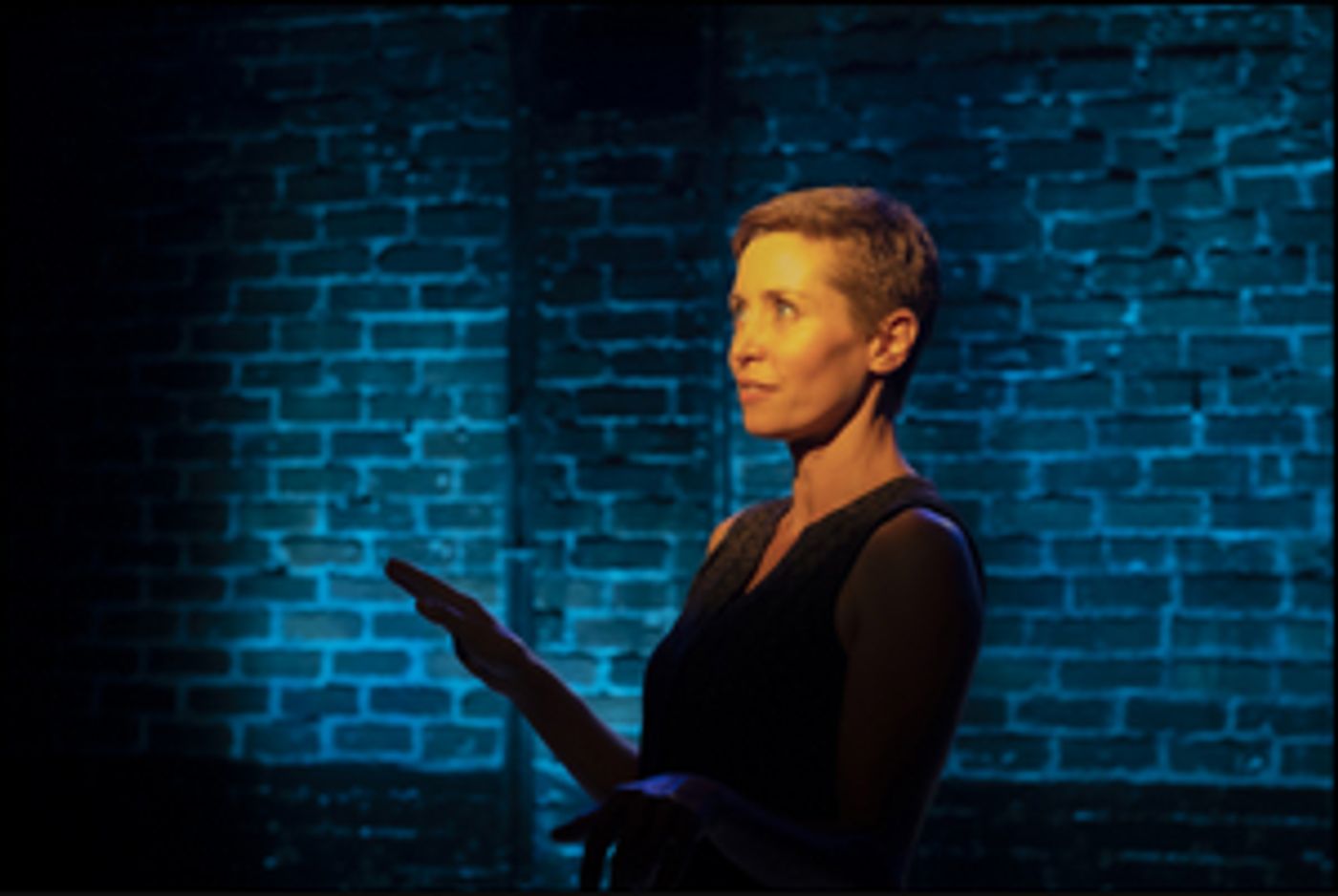 Interview: Rachel Parker on her World Premiere of THE WOLFE & THE BIRD  Image