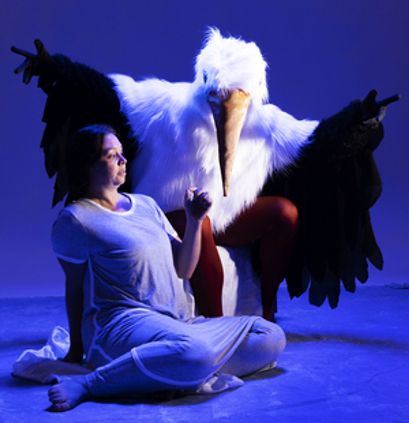 Review: BABEL: A Challenging Work in Progress at Scoundrel And Scamp  Image