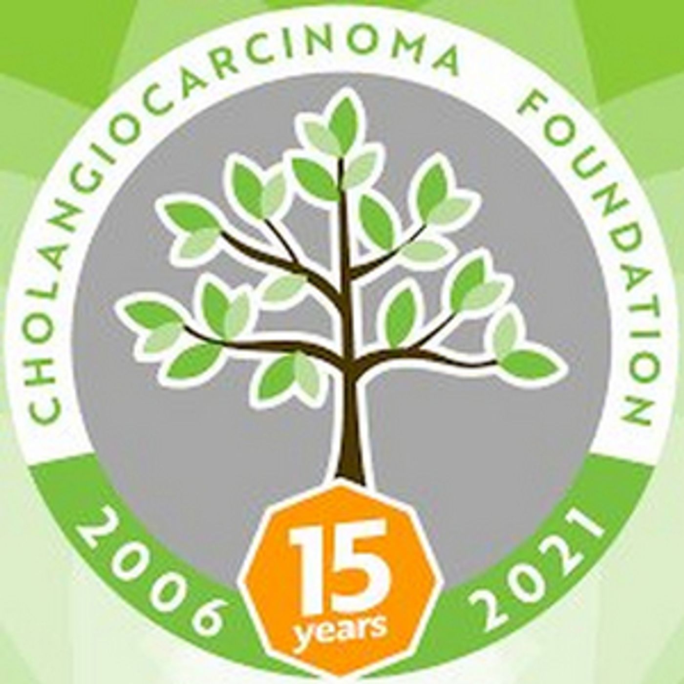 Ruth Stage Partners With The Cholangiocarcinoma Foundation  Image