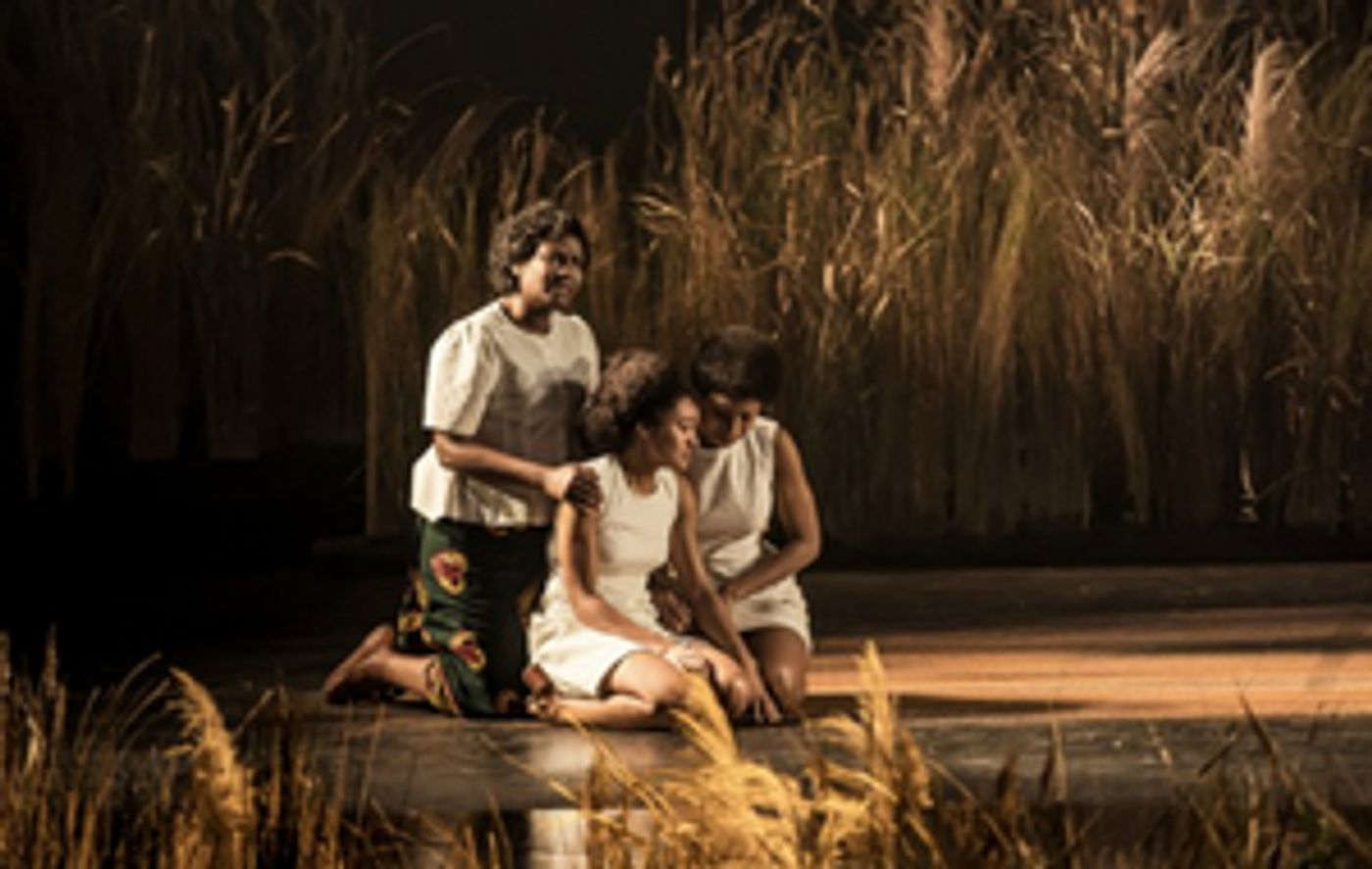 10 Productions Added To The National Theatre Collection For Schools, Libraries and Universities To Access Across The Globe 10 Productions Added To The National Theatre Collection For Schools, Libraries and Universities To Access Across The Globe Image