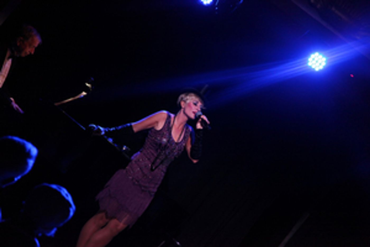 Review: Adrienne Haan Lives Comfortably BETWEEN FIRE AND ICE at The Triad Review: Adrienne Haan Lives Comfortably BETWEEN FIRE AND ICE at The Triad Image