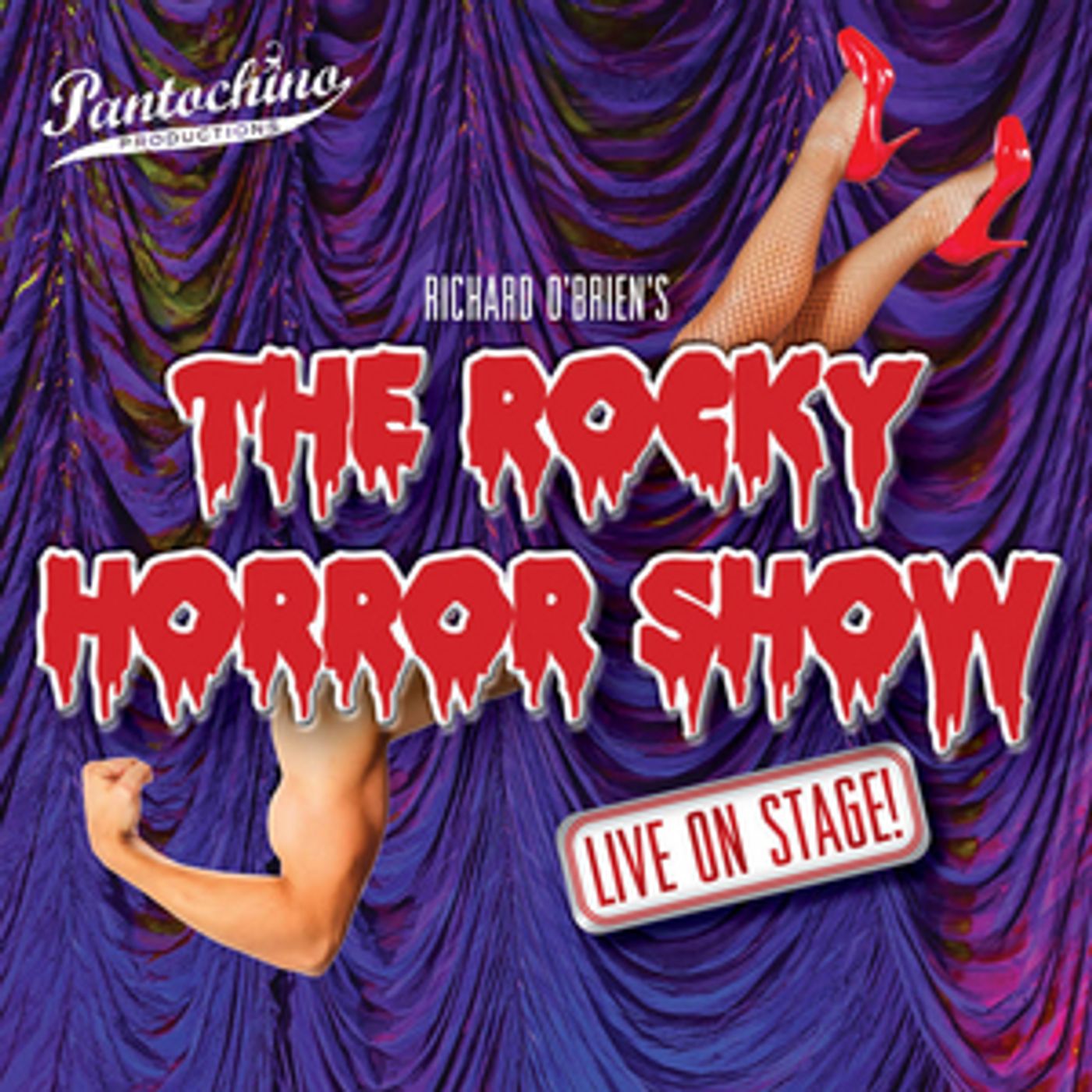 Pantochino Opens Season with THE ROCKY HORROR SHOW Pantochino Opens Season with THE ROCKY HORROR SHOW Image