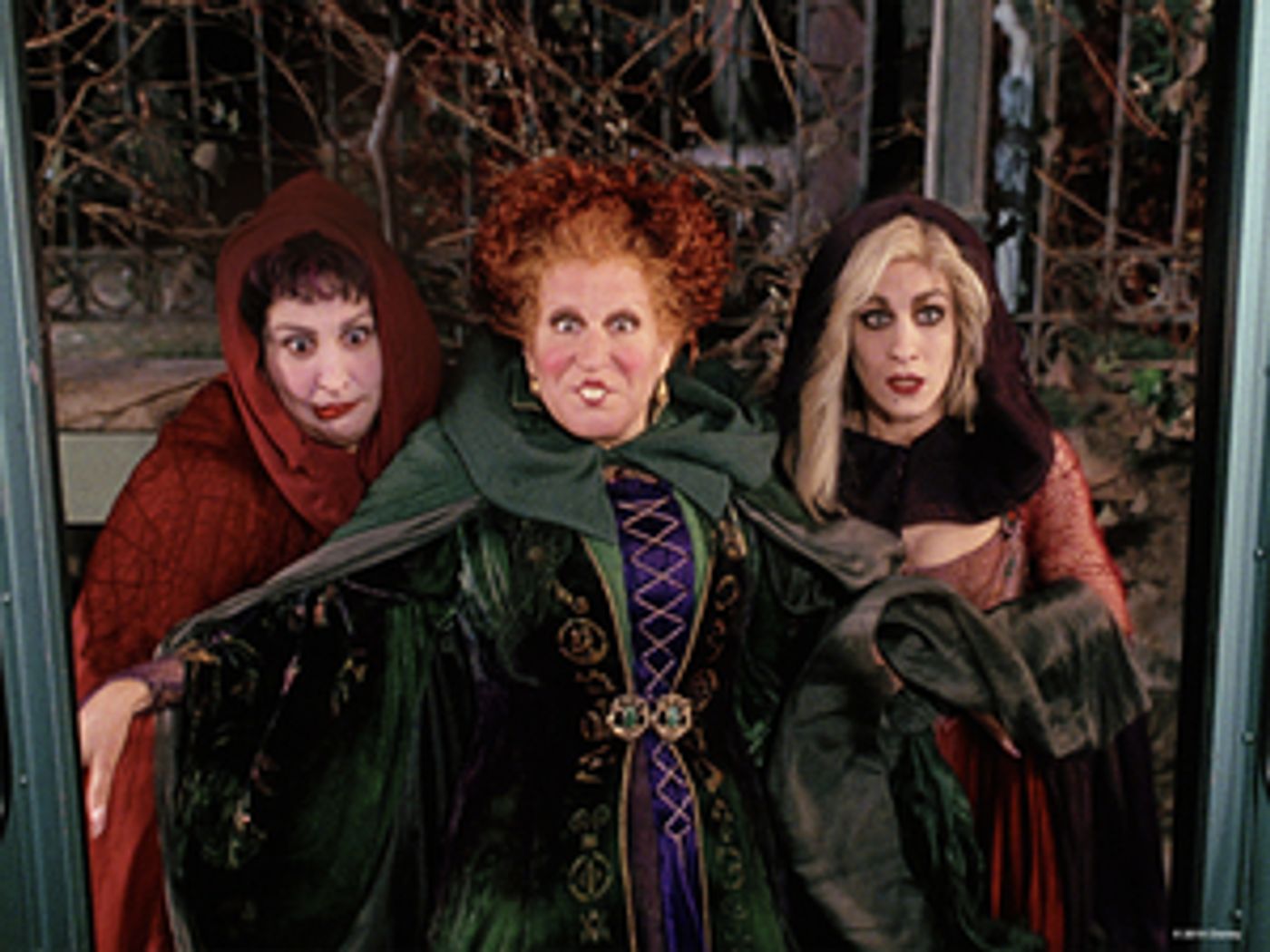El Capitan Theatre to Screen HOCUS POCUS and THE NIGHTMARE BEFORE CHRISTMAS  Image