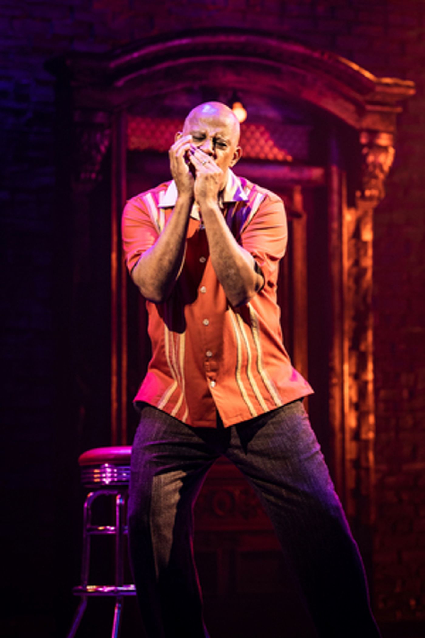 LACKAWANNA BLUES Delays Opening Night as Ruben Santiago-Hudson Recovers from Back Injury  Image