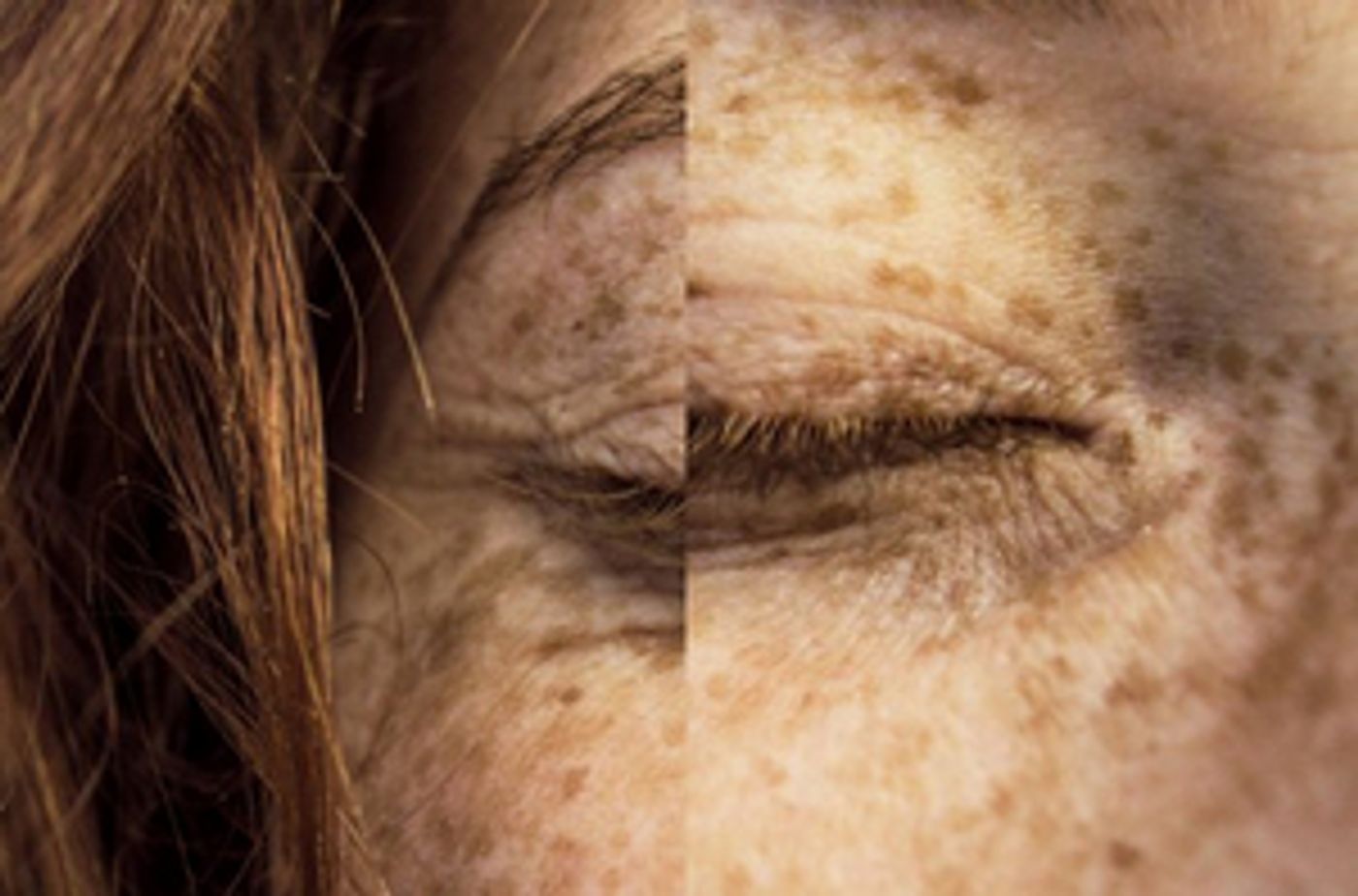 Antwerp Symphony Orchestra Presents BRUCKNER 2 MET PHILIPPE HERREWEGHE  Image