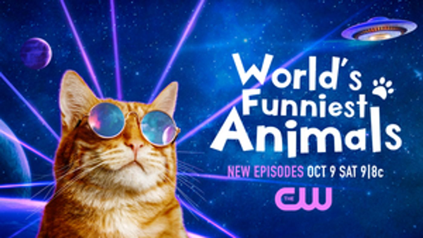 WORLD'S FUNNIEST ANIMALS Will Return to The CW WORLD'S FUNNIEST ANIMALS Will Return to The CW Image