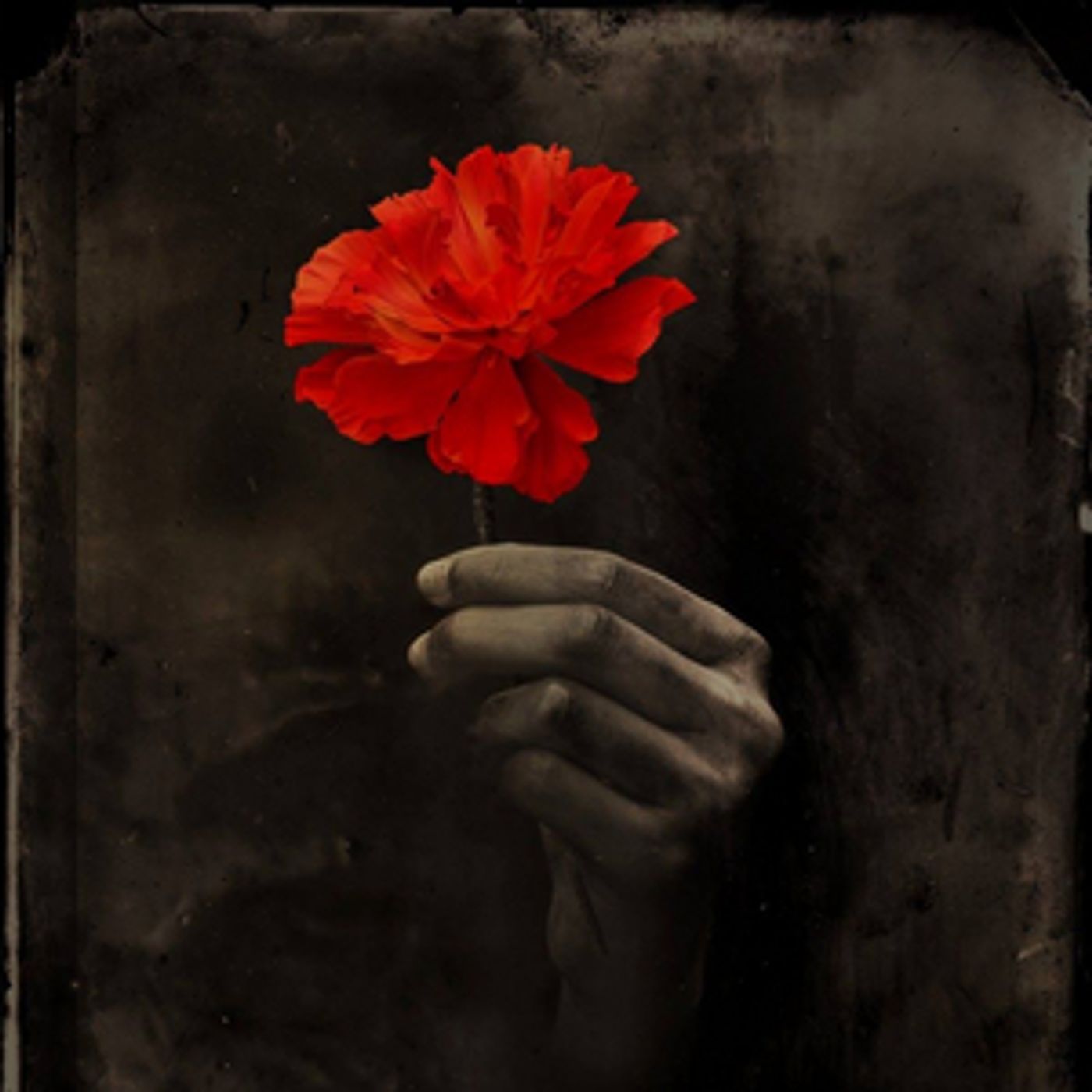 Lana Gordon Announced as Persephone Alternate in HADESTOWN on Broadway Lana Gordon Announced as Persephone Alternate in HADESTOWN on Broadway Image