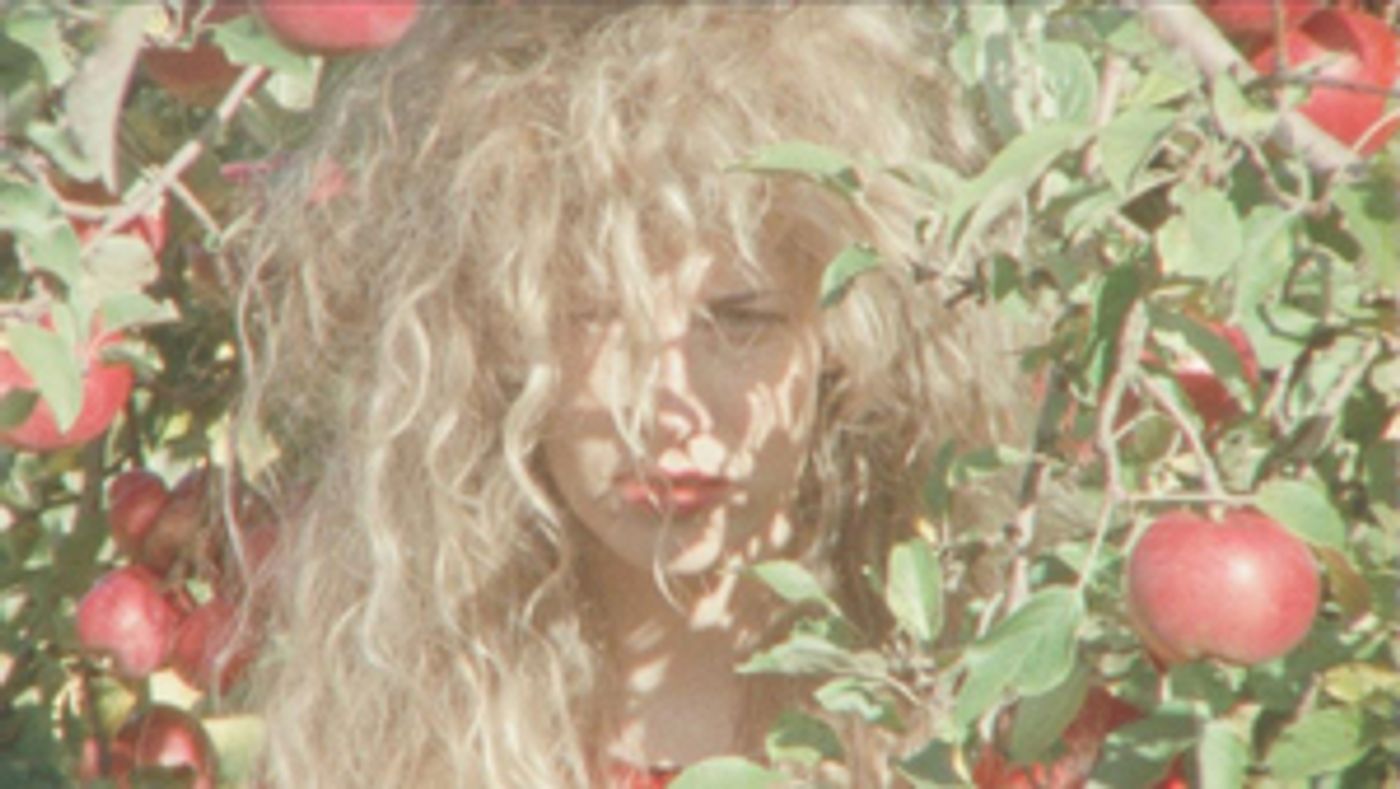 VIDEO: Taraka Shares New Music Video for 'Welcome To Paradise Lost'  Image