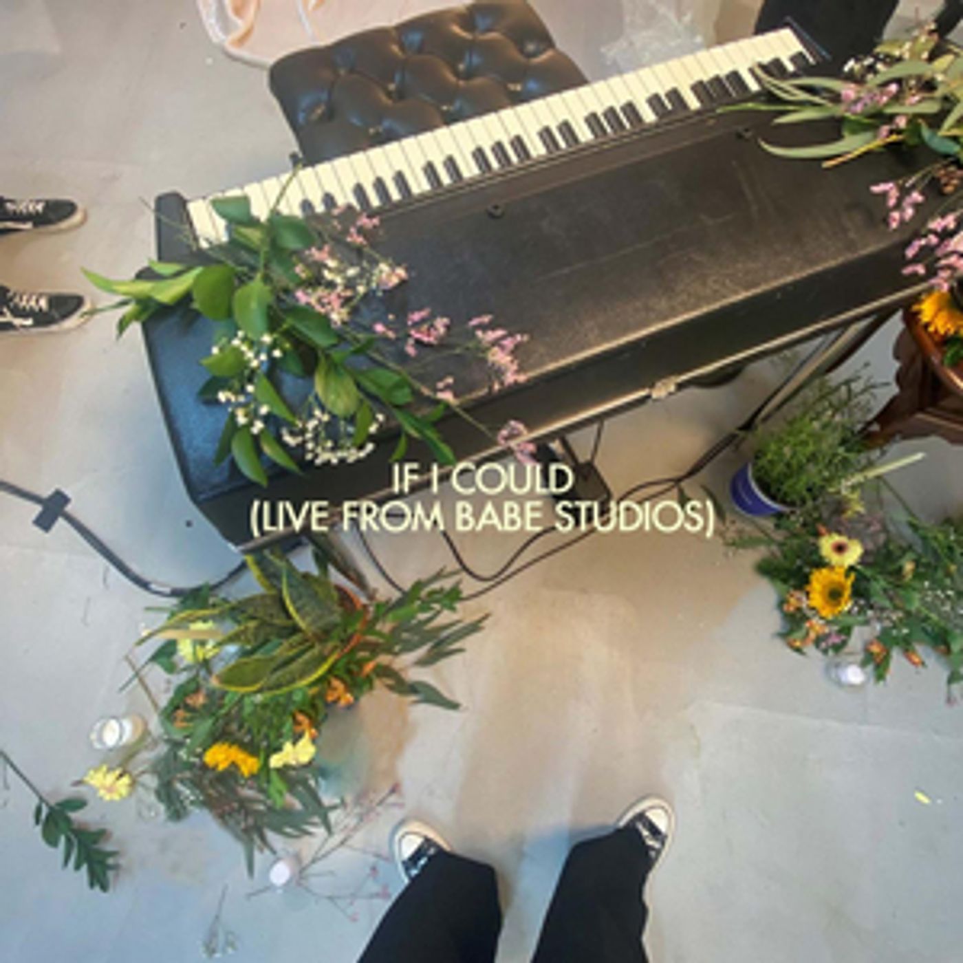 Brynn Cartelli Releases Live Version of 'If I Could'  Image