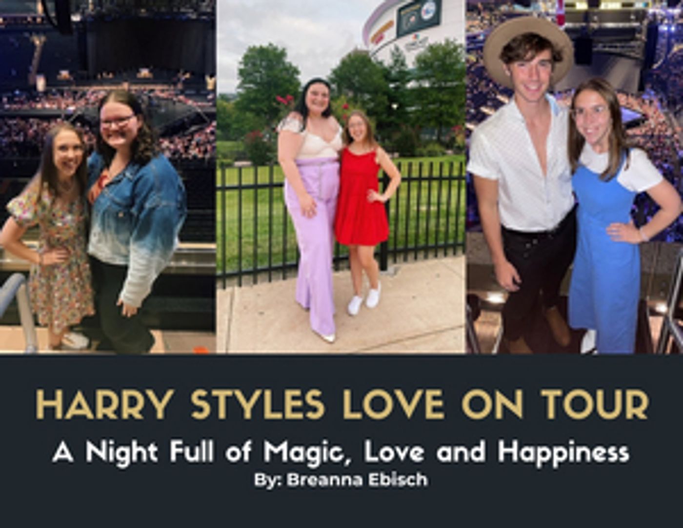 Student Blog: Harry Styles Love On Tour  Image