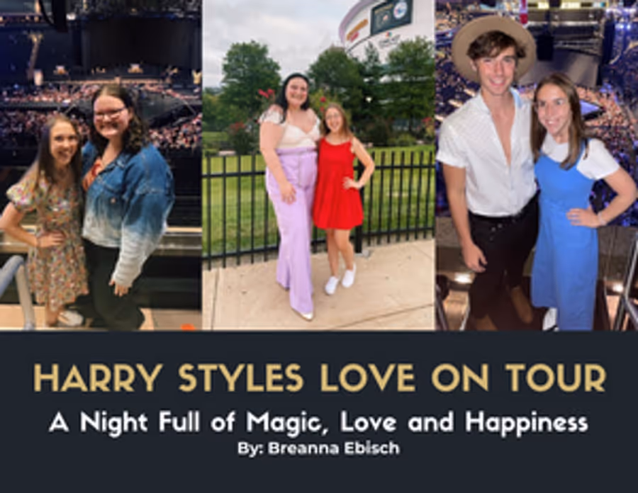Student Blog: Harry Styles Love On Tour Image