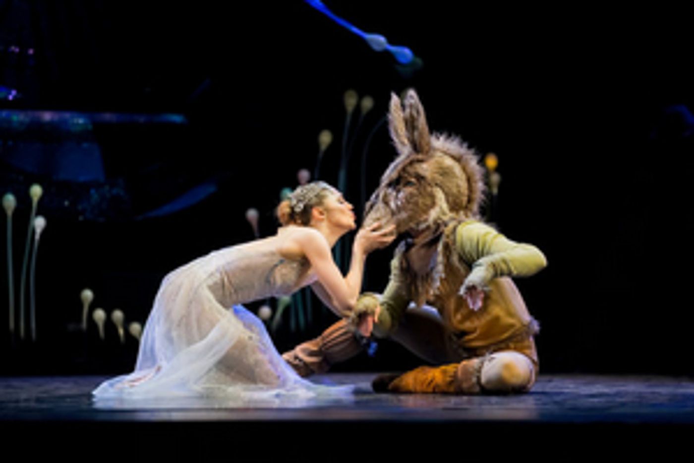 Royal New Zealand Ballet Cancels Performances and Makes Changes to Auditorium  Image