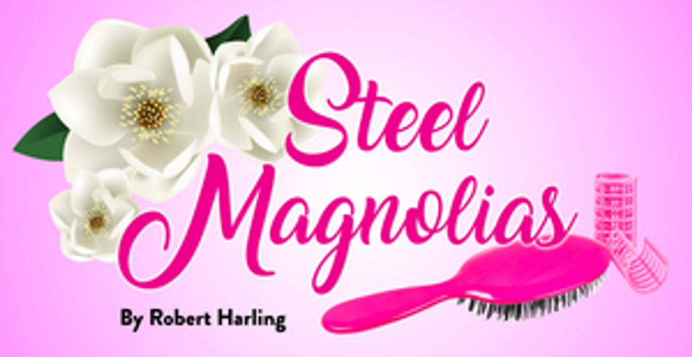 Review: STEEL MAGNOLIAS at Castle Craig Players  Image