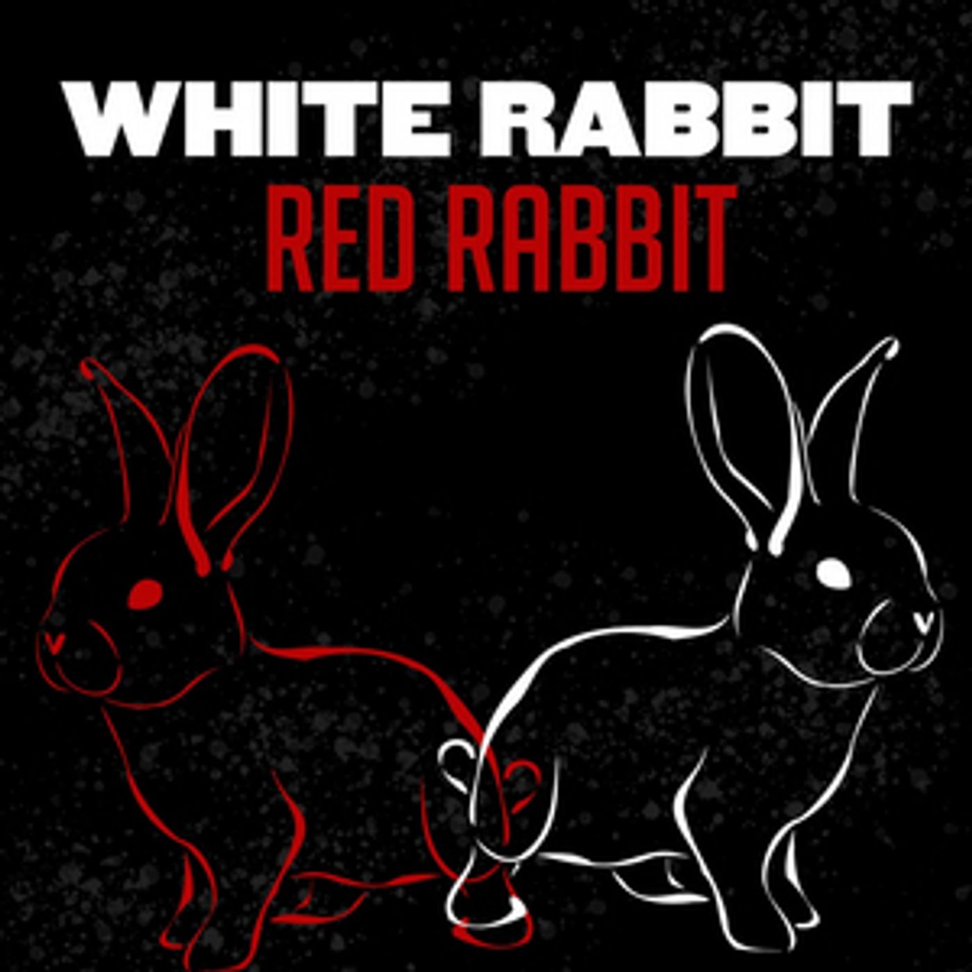 Review: WHITE RABBIT RED RABBIT at The Laboratory Theater Of Florida  Image