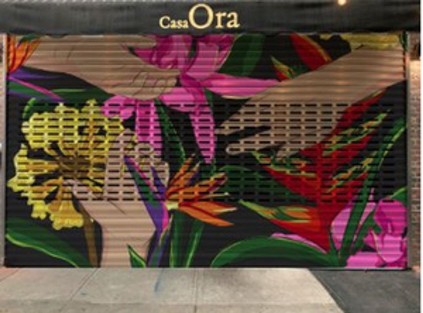 CASA ORA in Williamsburg Announces Live Art Event Friday, 10/22 from 2-7pm  Image
