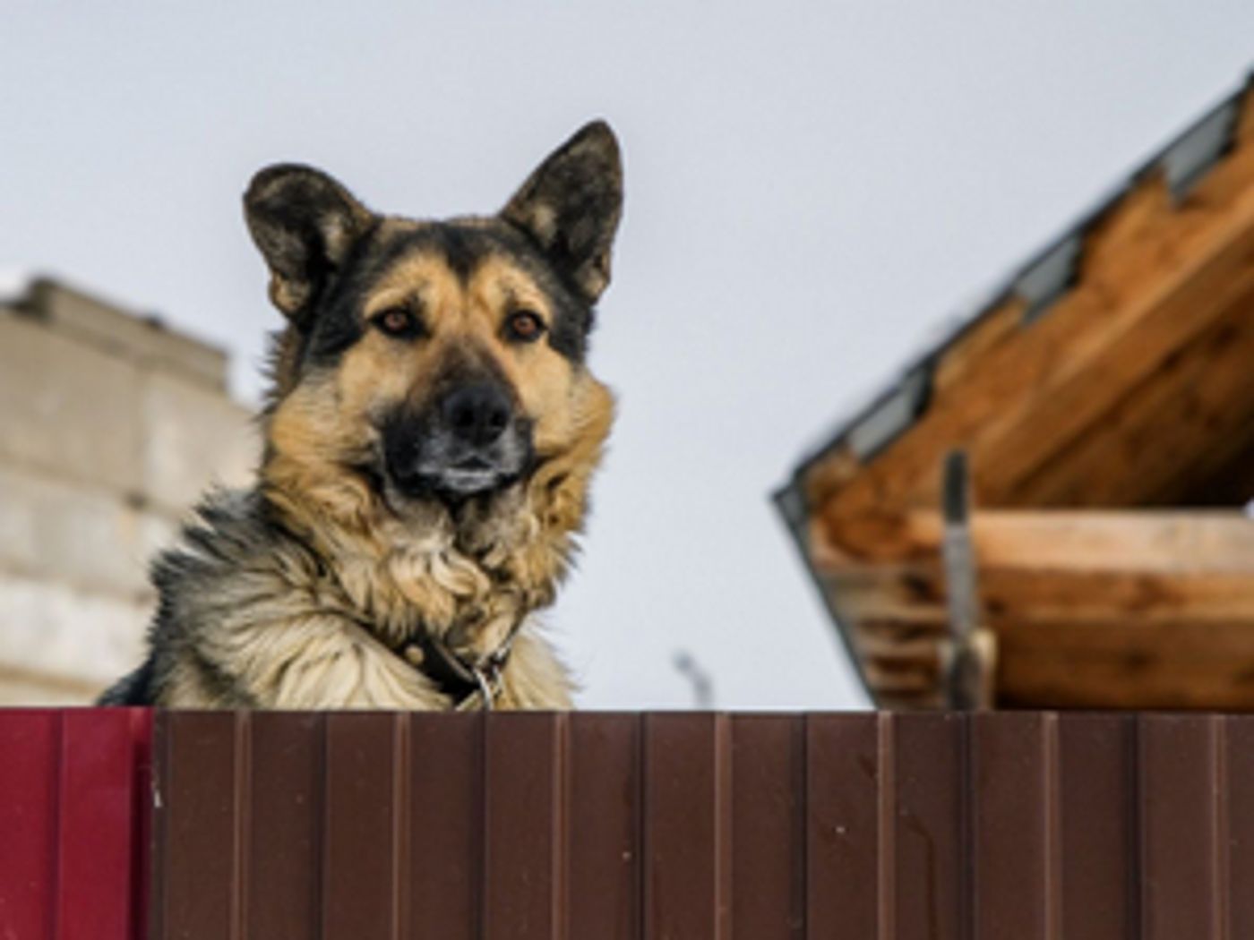 YES SO I SAID YES Opens at the Finborough Theatre Next Month  Image