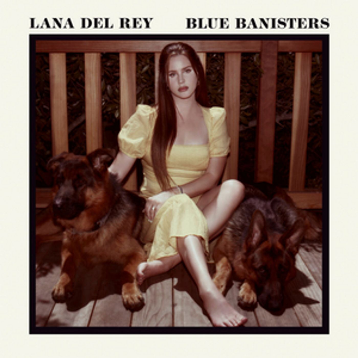 Lana Del Rey Releases New 'Blue Banisters' Album  Image