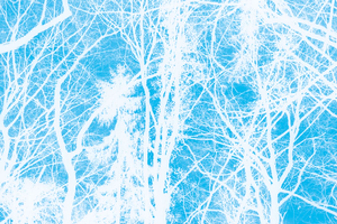 Grand Theatre de Geneva Announces Public Workshops  Image