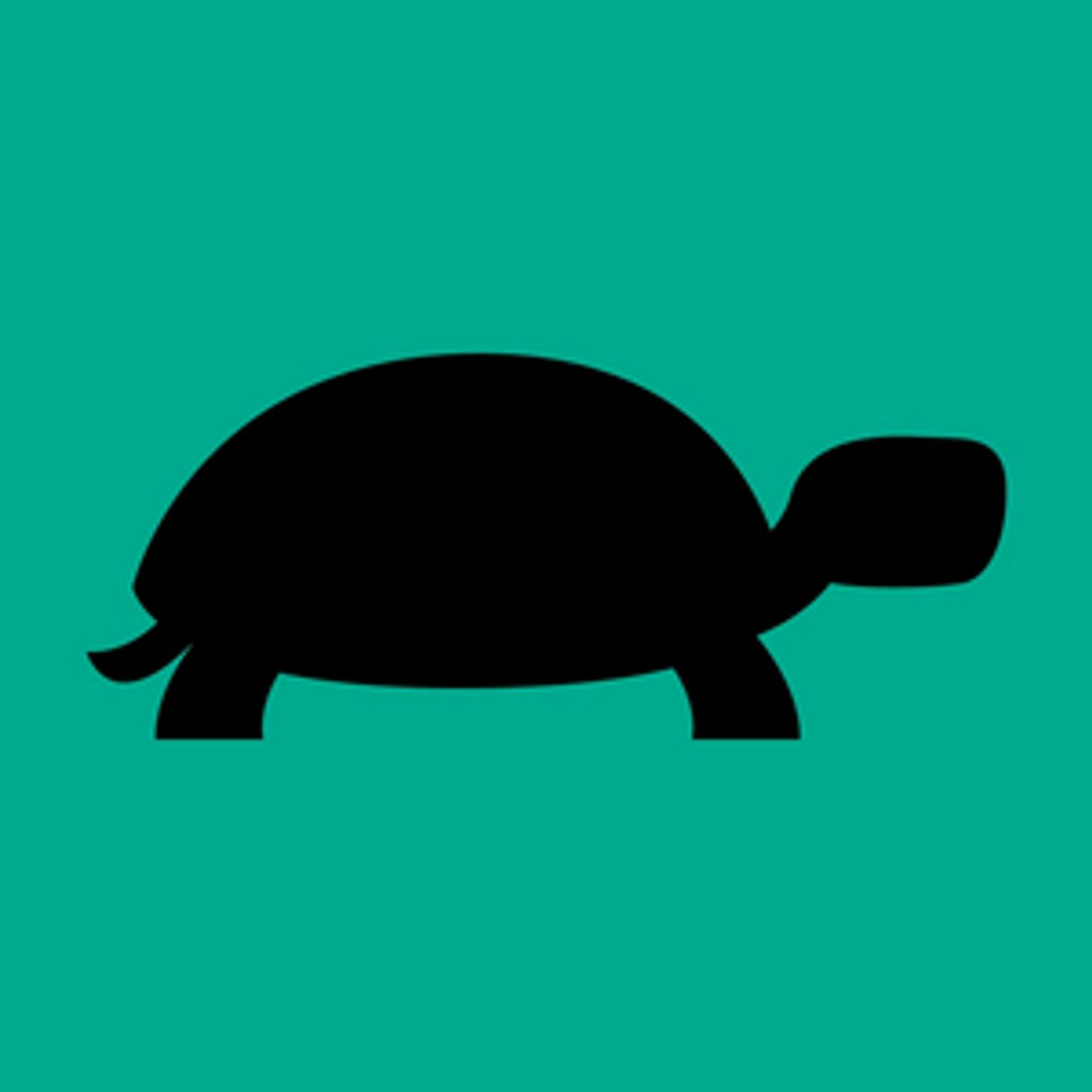 Performances Begin Tomorrow for A TURTLE ON A FENCE POST  Image