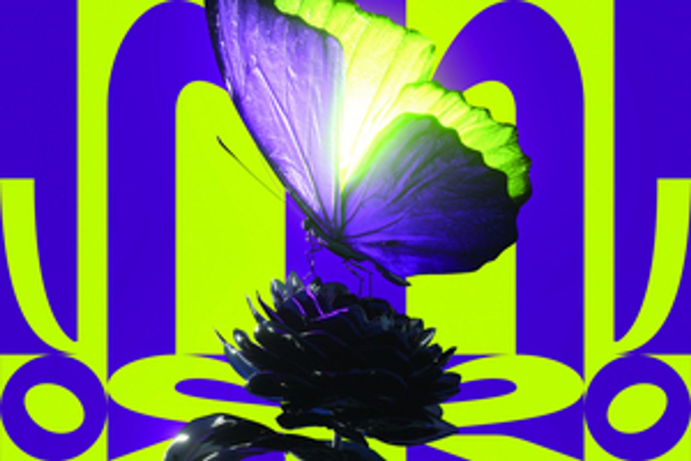 Feature: POCKETOPERA LA TRAVIATA: STERVEN AAN JE DIEPSTE WENS at Violetta Is In Het Concept Van Regisseur Dorike Van Genderen Een Trans Vrouw!  Image