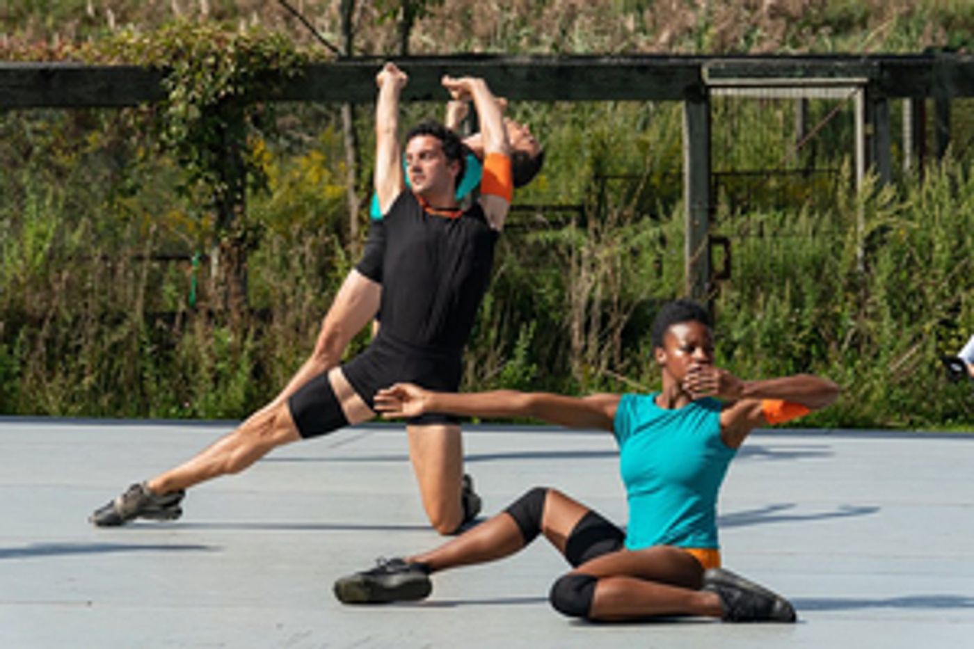 Livestream Event Will Celebrate 10 Years Of BalletCollective Next Week  Image