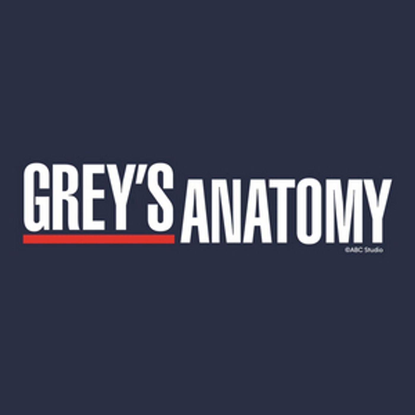 GREY'S ANATOMY Casts E.R. Fightmaster as First Non-Binary Doctor  Image