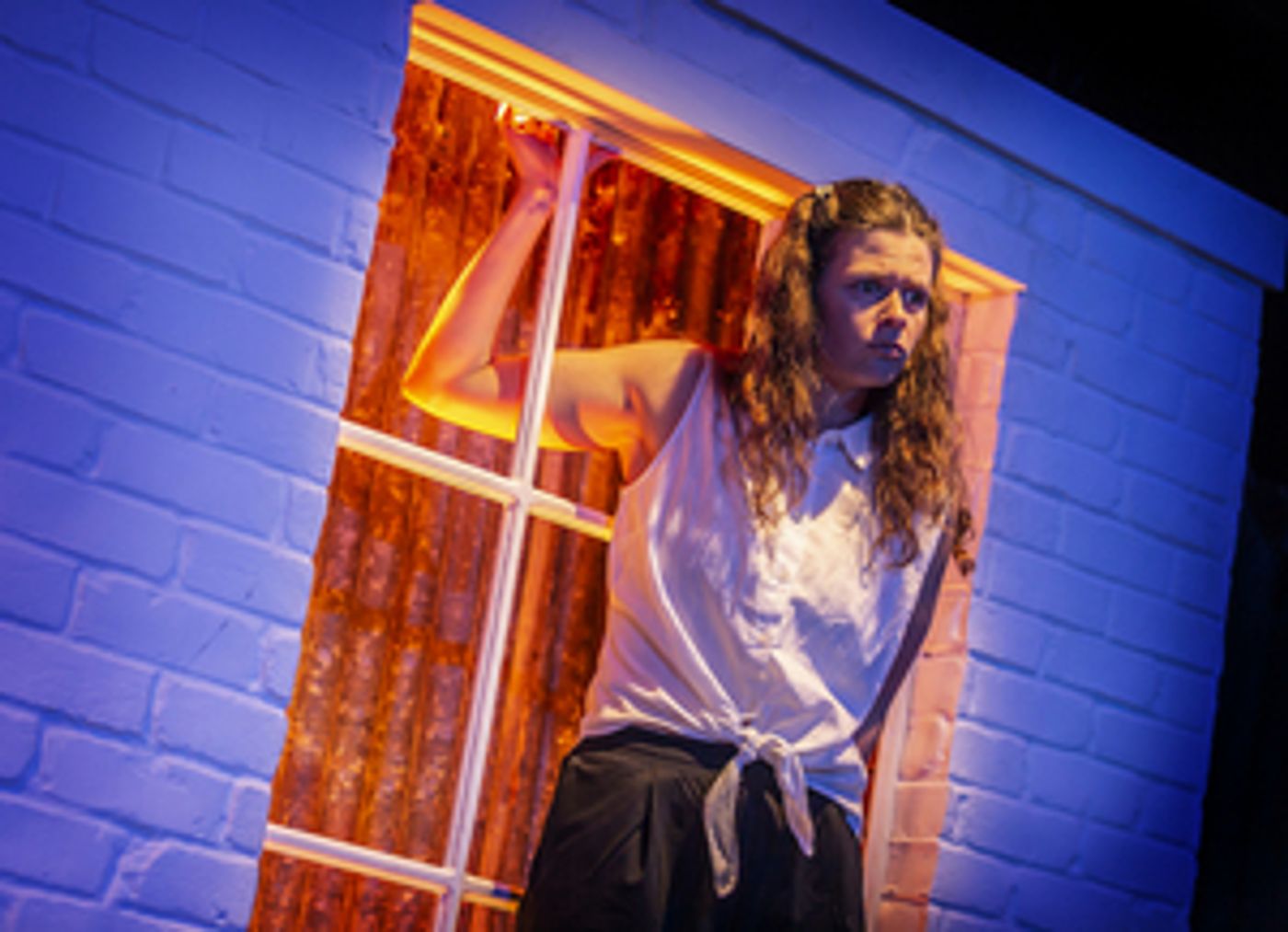 Guest Blog: Playwright Alana Valentine On THE SUGAR HOUSE  Image