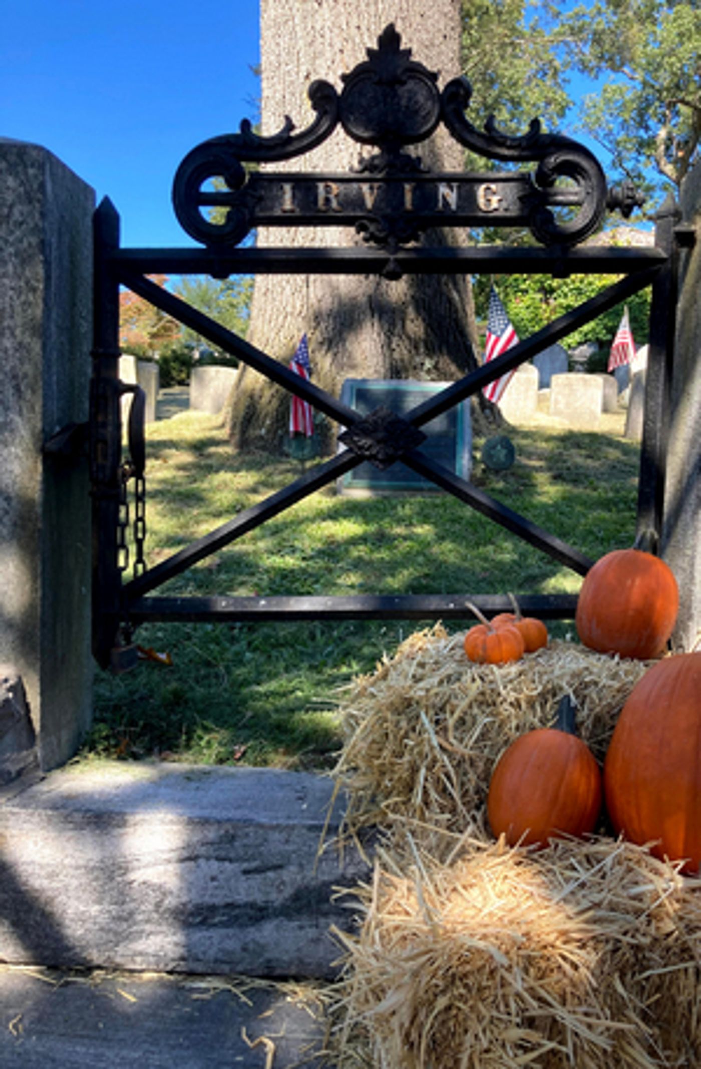 Student Blog: An Original Adaptation Student Blog: An Original Adaptation Image