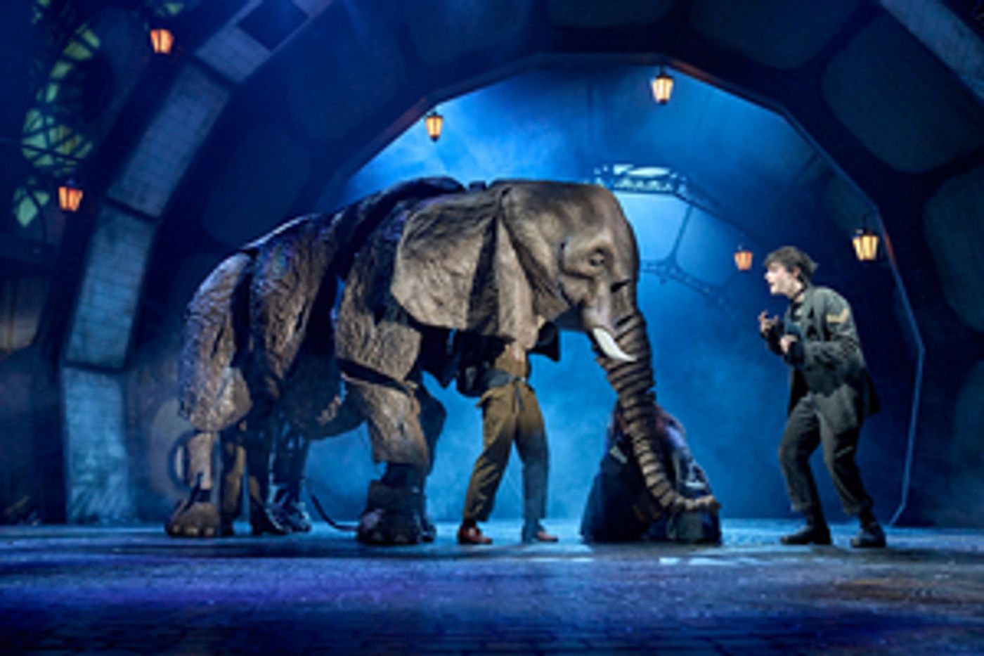 Review: THE MAGICIAN'S ELEPHANT, Royal Shakespeare Theatre  Image