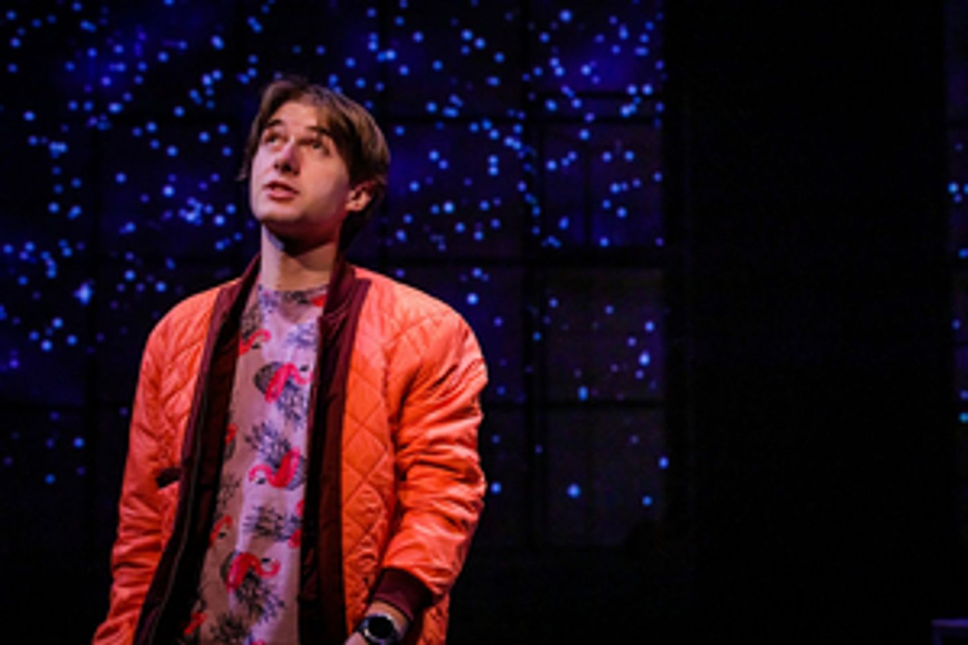 Review: THE CURIOUS INCIDENT OF THE DOG IN THE NIGHT-TIME at SHEA'S 710 Theatre  Image
