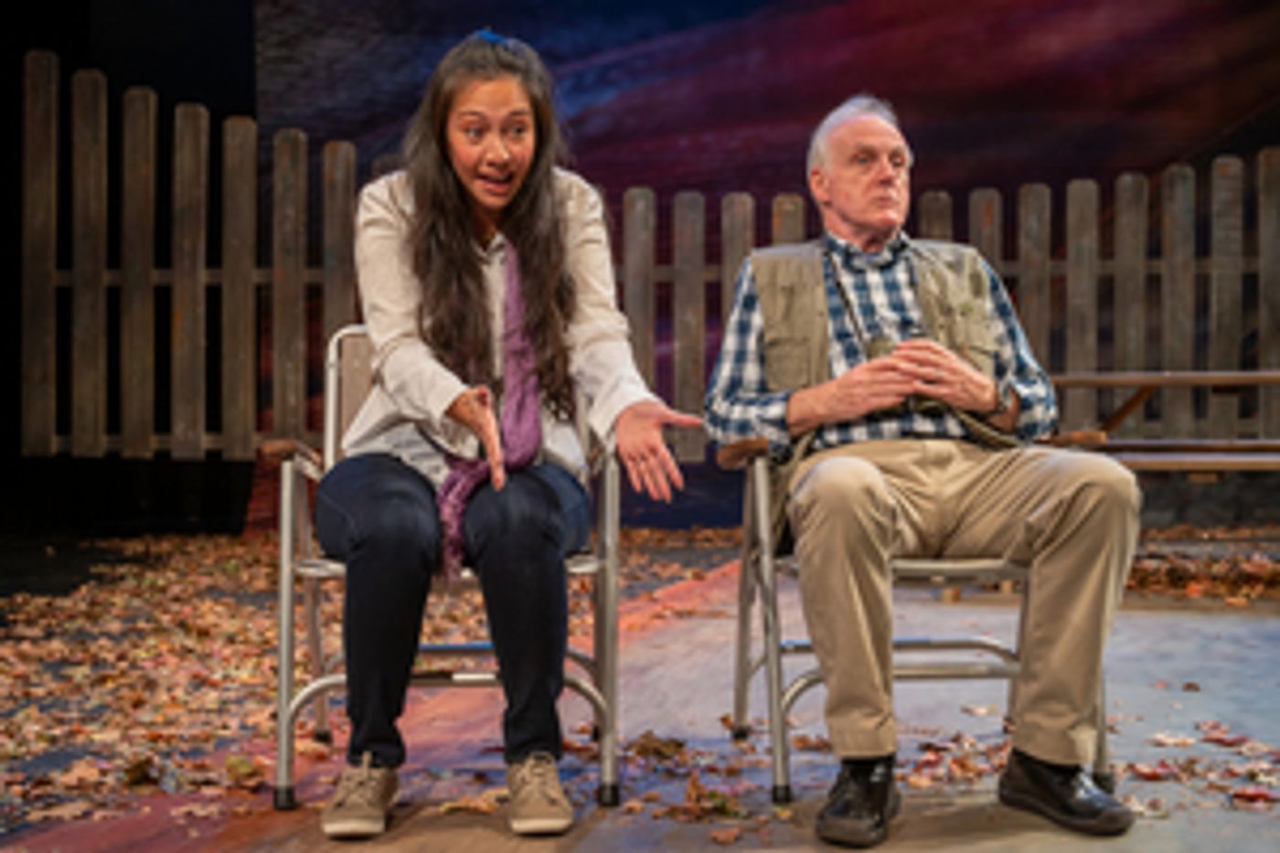 Review:  Mosaic Theater's BIRDS OF NORTH AMERICA a Subtle, Moving Testament to Our Times  Image