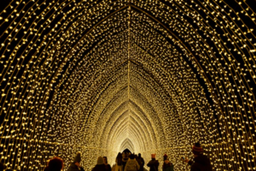 Lightscape Opens This Month At Brooklyn Botanic Garden Image