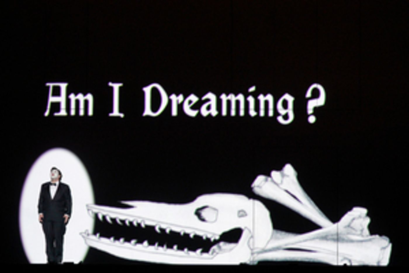 Review: THE MAGIC FLUTE Brings New Life to a Classic at Lyric Opera  Image