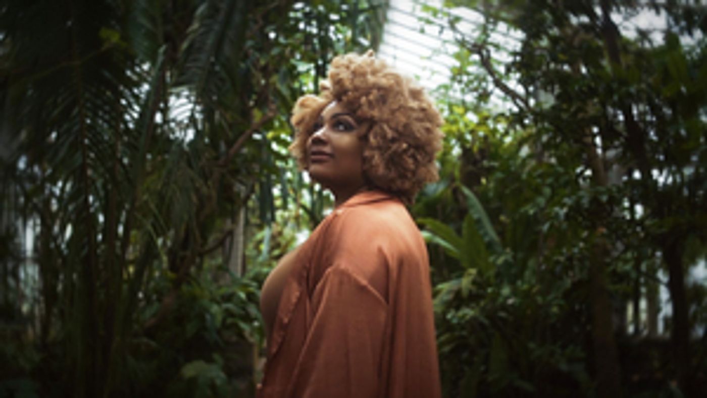 Review: AN AUTUMN AFTERNOON WITH RAEHANN BRYCE-DAVIS at Home Computer Screens  Image