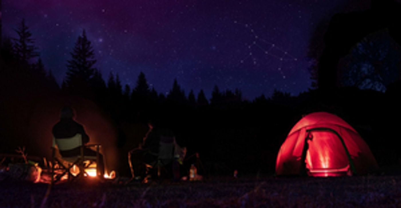 Victory Gardens Theater Returns With QUEEN ON THE NIGHT, Beginning January 29  Image