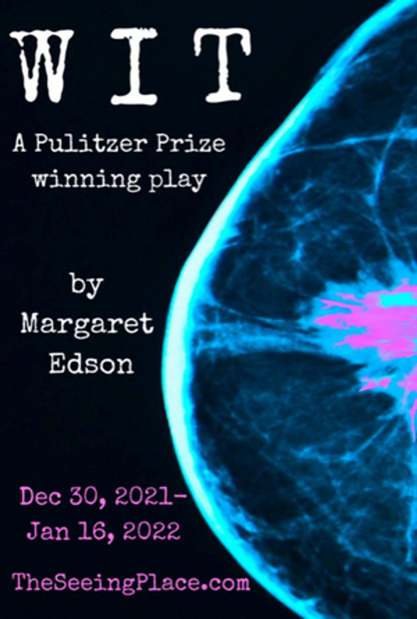 The Seeing Place Theater to Present Margaret Edson's WIT  Image