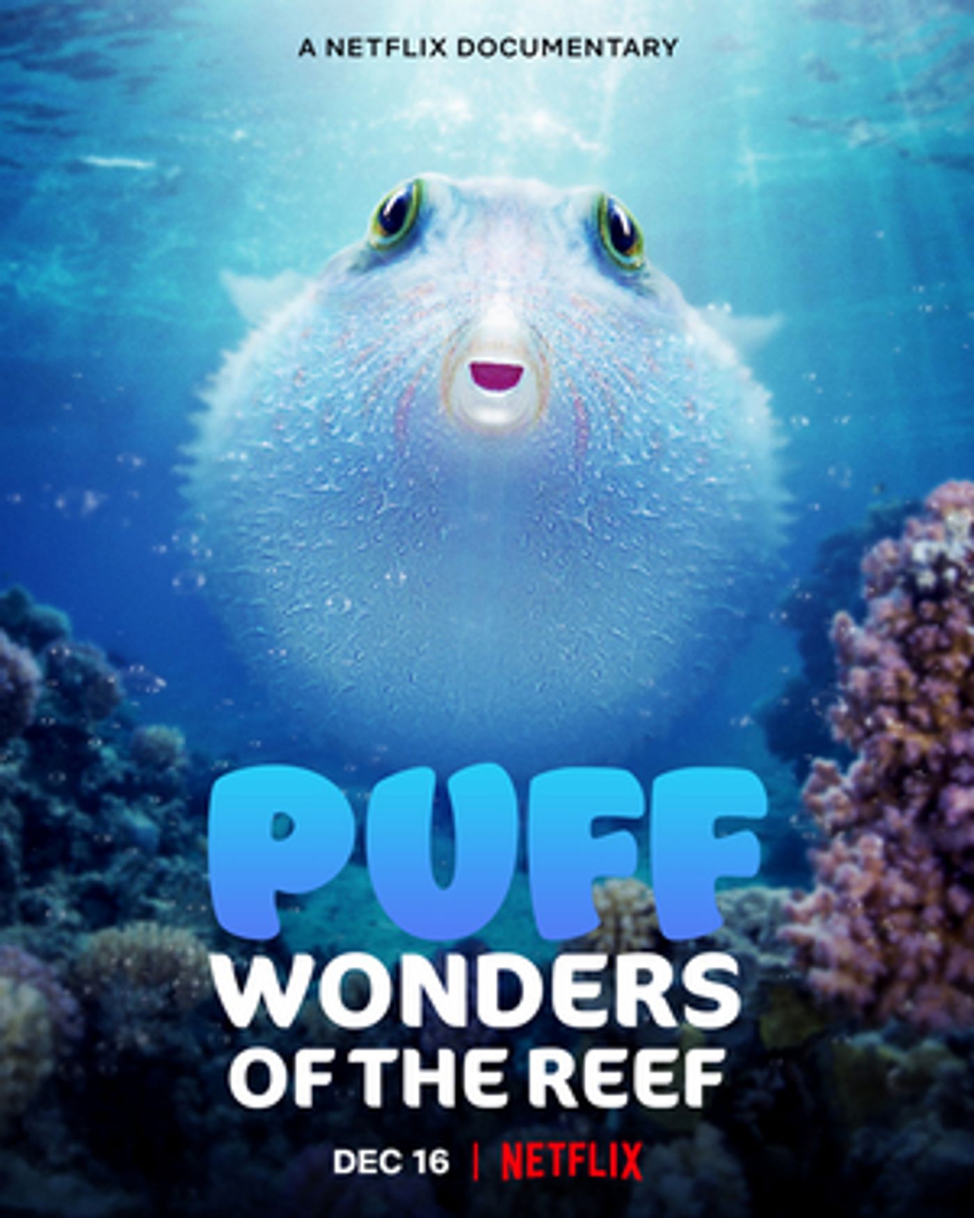 VIDEO: Netflix Debuts PUFF: WONDERS OF THE REEF Trailer  Image