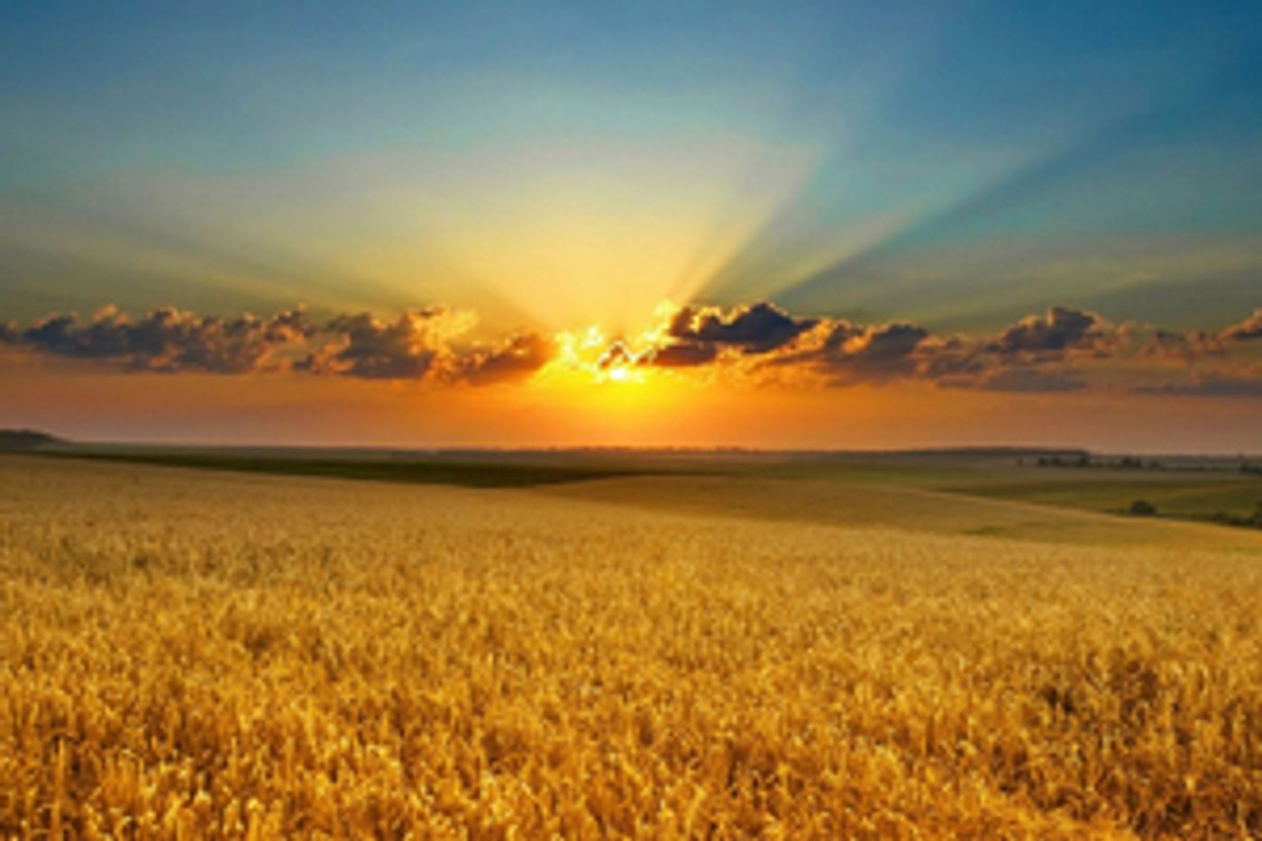 Guest Reviewer Kym Vaitiekus Shares His Thoughts On THE LOVELY BONES  Image