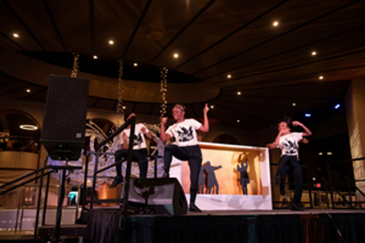 Dallas Summer Musicals Raises $775,000 at Sold-Out 2021 Gala  Image