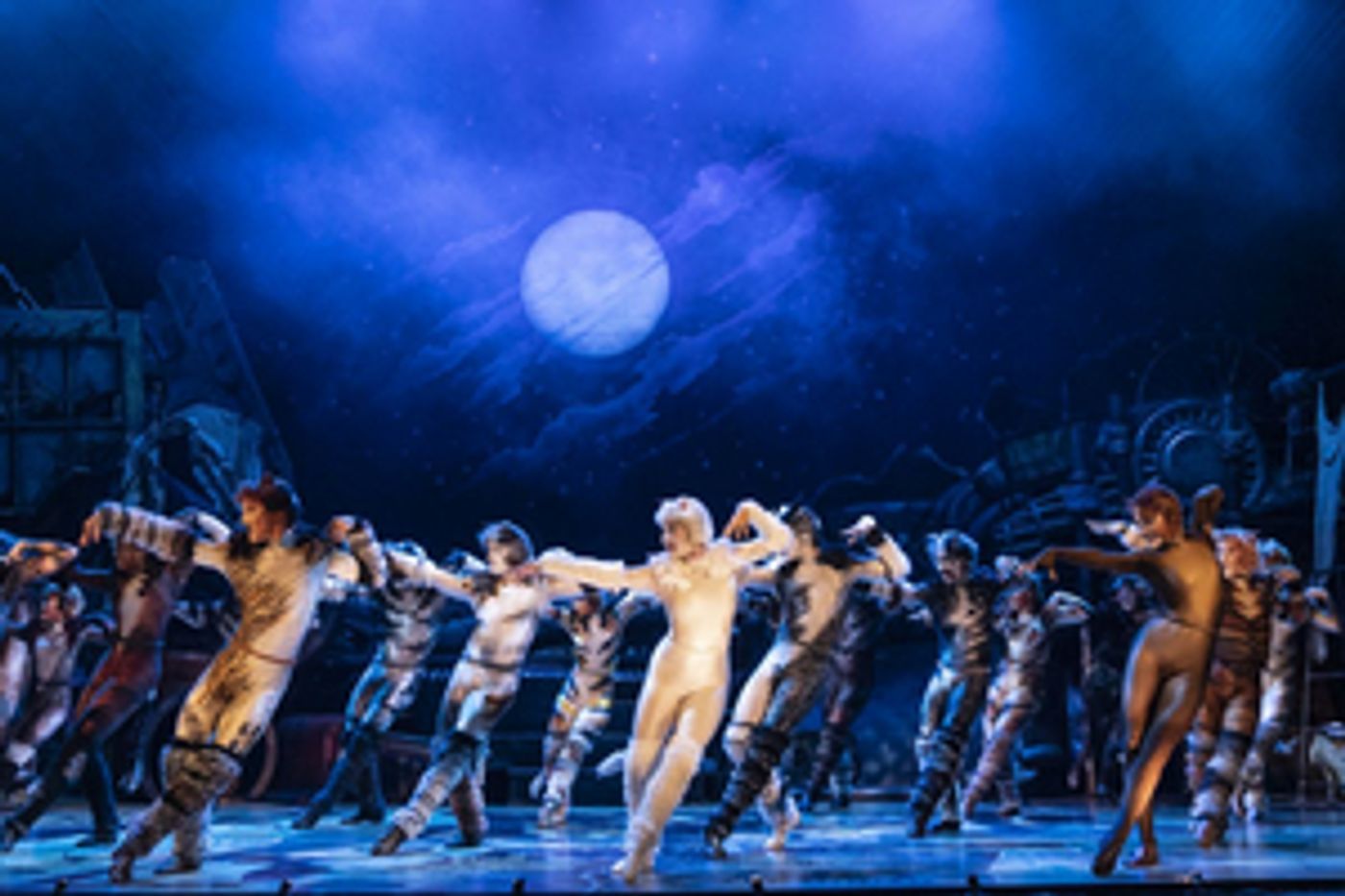 Jellicle CATS Come to Saenger Theatre Next Week  Image