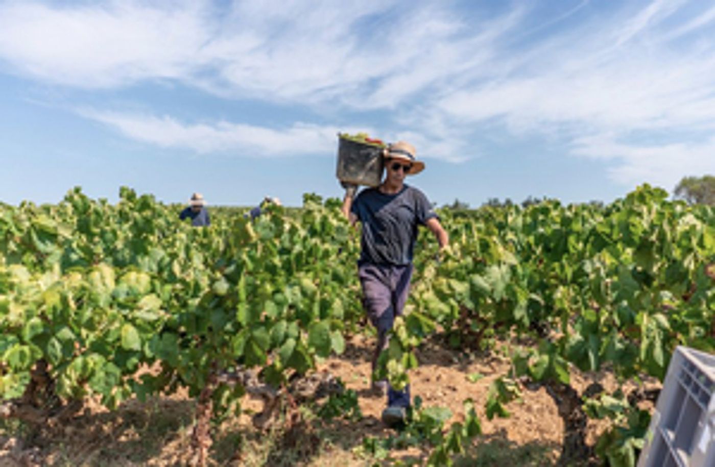 CAVA-Undergoes-Some-Important-Changes-20010101 CAVA Undergoes Some Important Changes Image