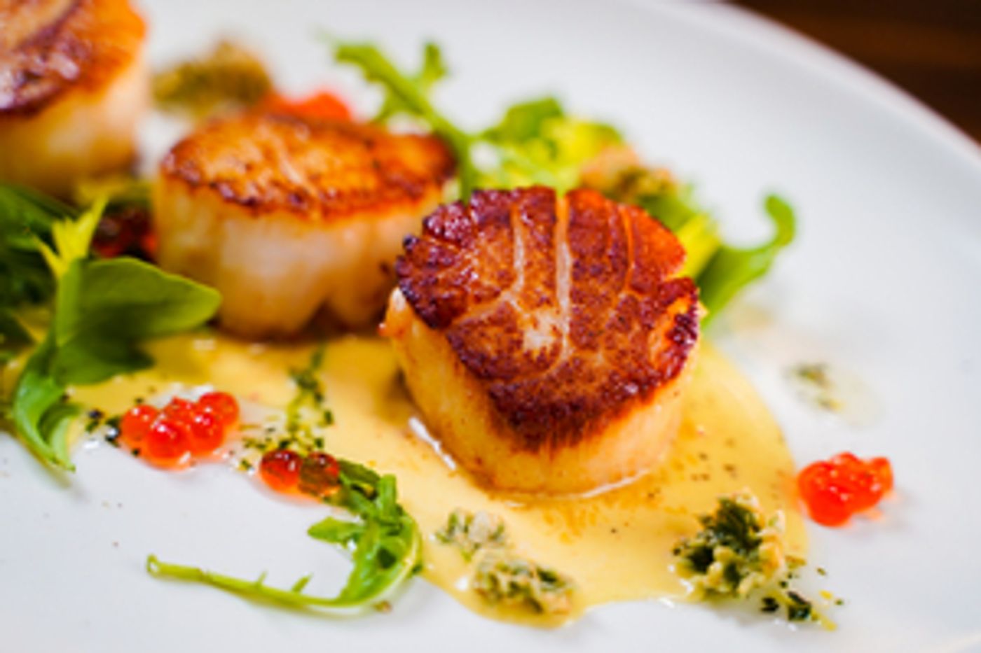 THE FIN Opens in Fishtown with a Giant New Surf and Turf Seafood Destination THE FIN Opens in Fishtown with a Giant New Surf and Turf Seafood Destination Image