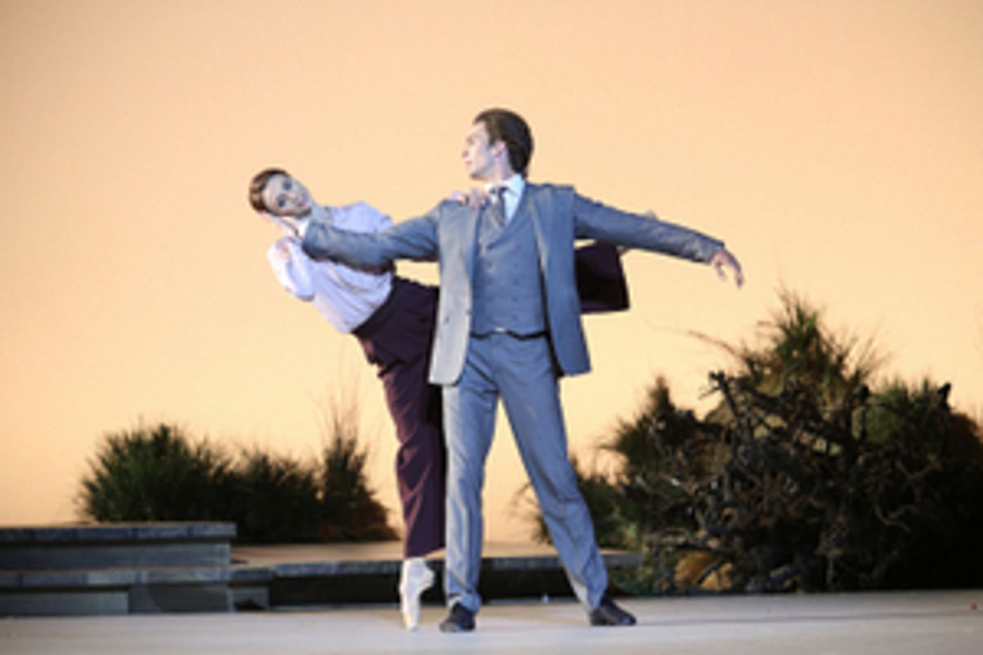 THE SEAGULL is Now Playing at Bolshoi  Image