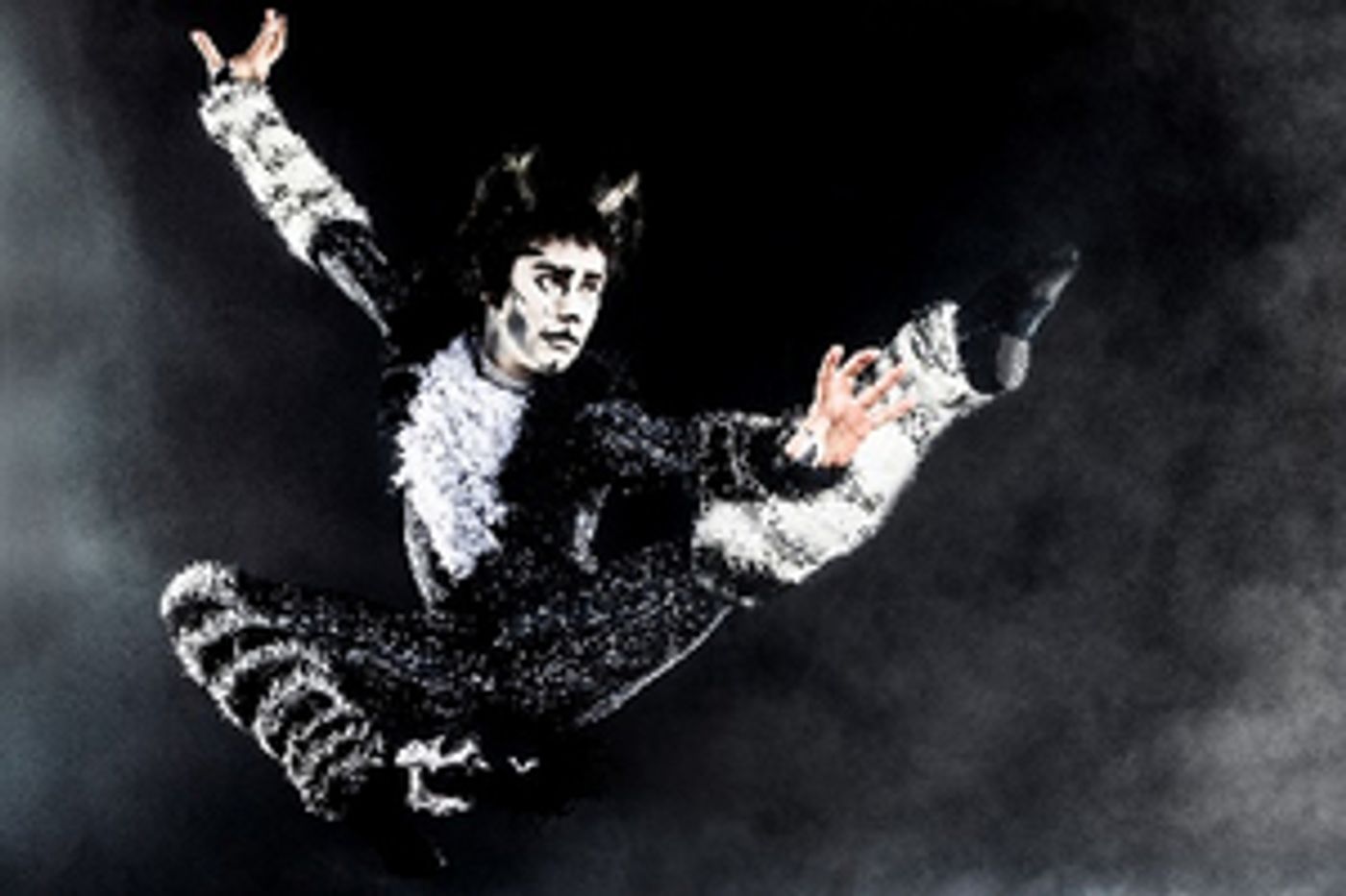 Tickets Now On Sale for CATS at Jacksonville's Times-Union Center for the Performing Arts  Image