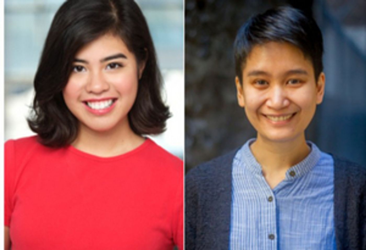 17th Annual Fred Ebb Award Ceremony Postponed 17th Annual Fred Ebb Award Ceremony Postponed Image