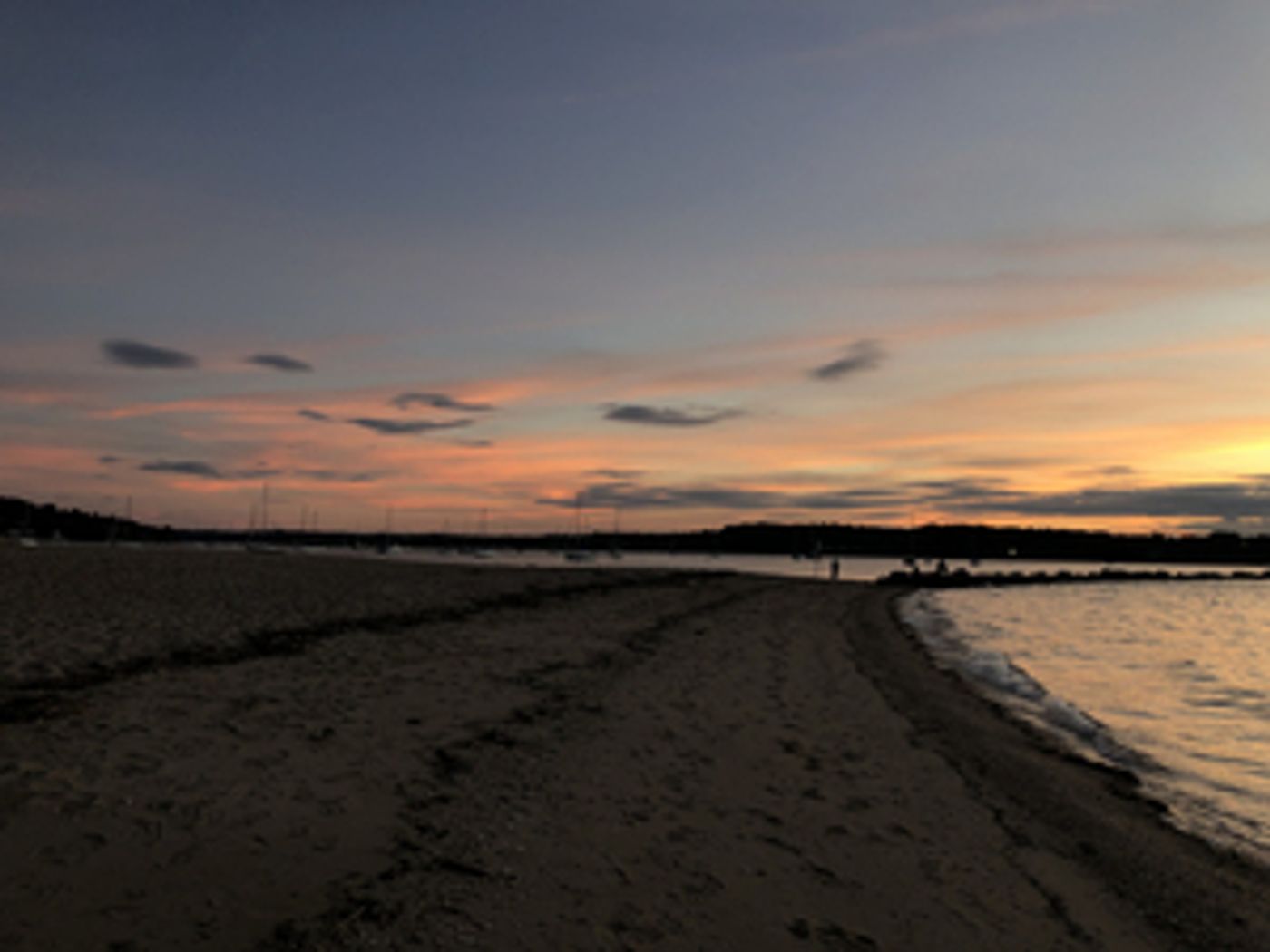 Student Blog: Bringing in the New Year  Image