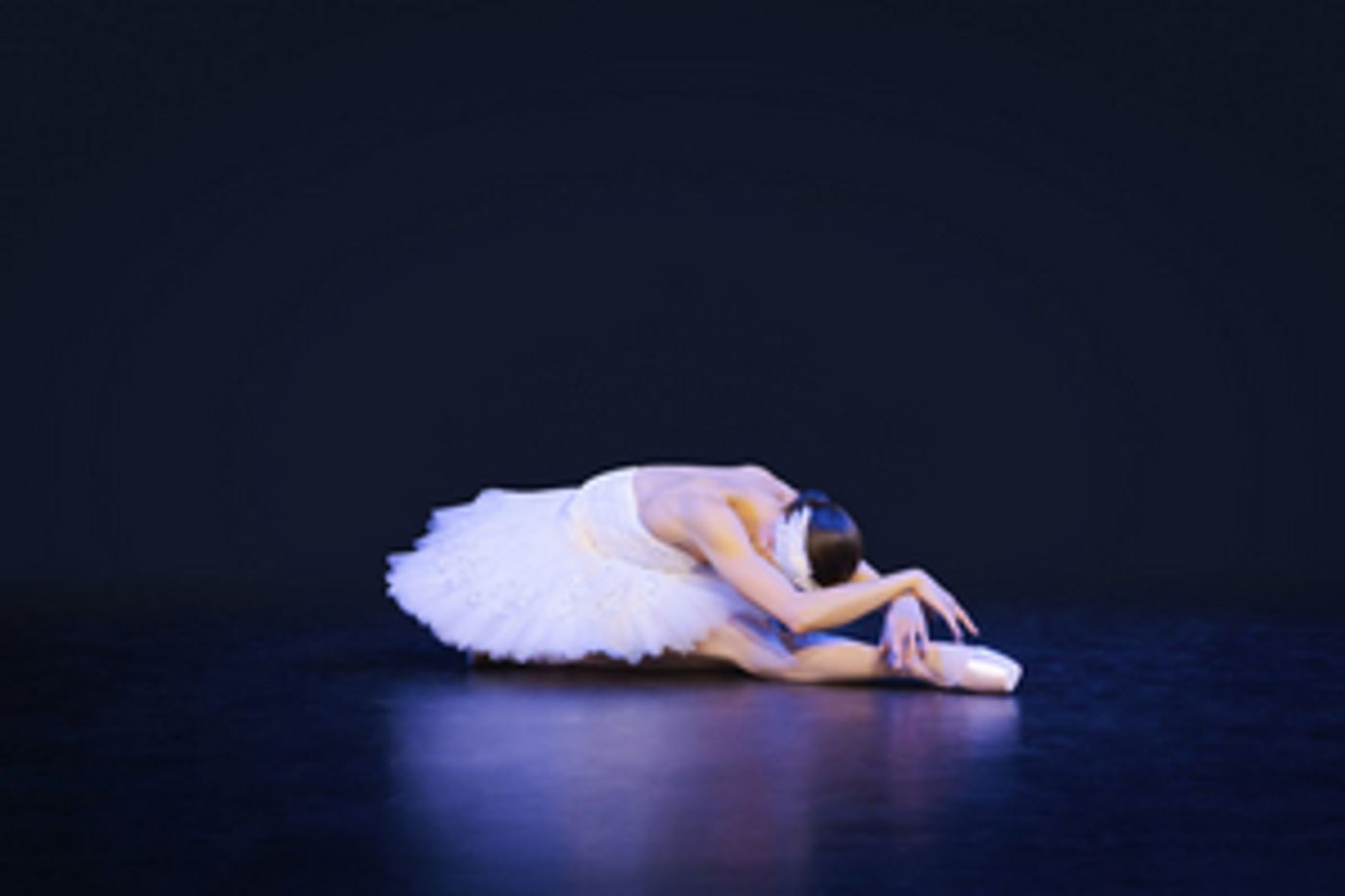 SWAN LAKE Will Be Performed by the Royal New Zealand Ballet in 2022 SWAN LAKE Will Be Performed by the Royal New Zealand Ballet in 2022 Image