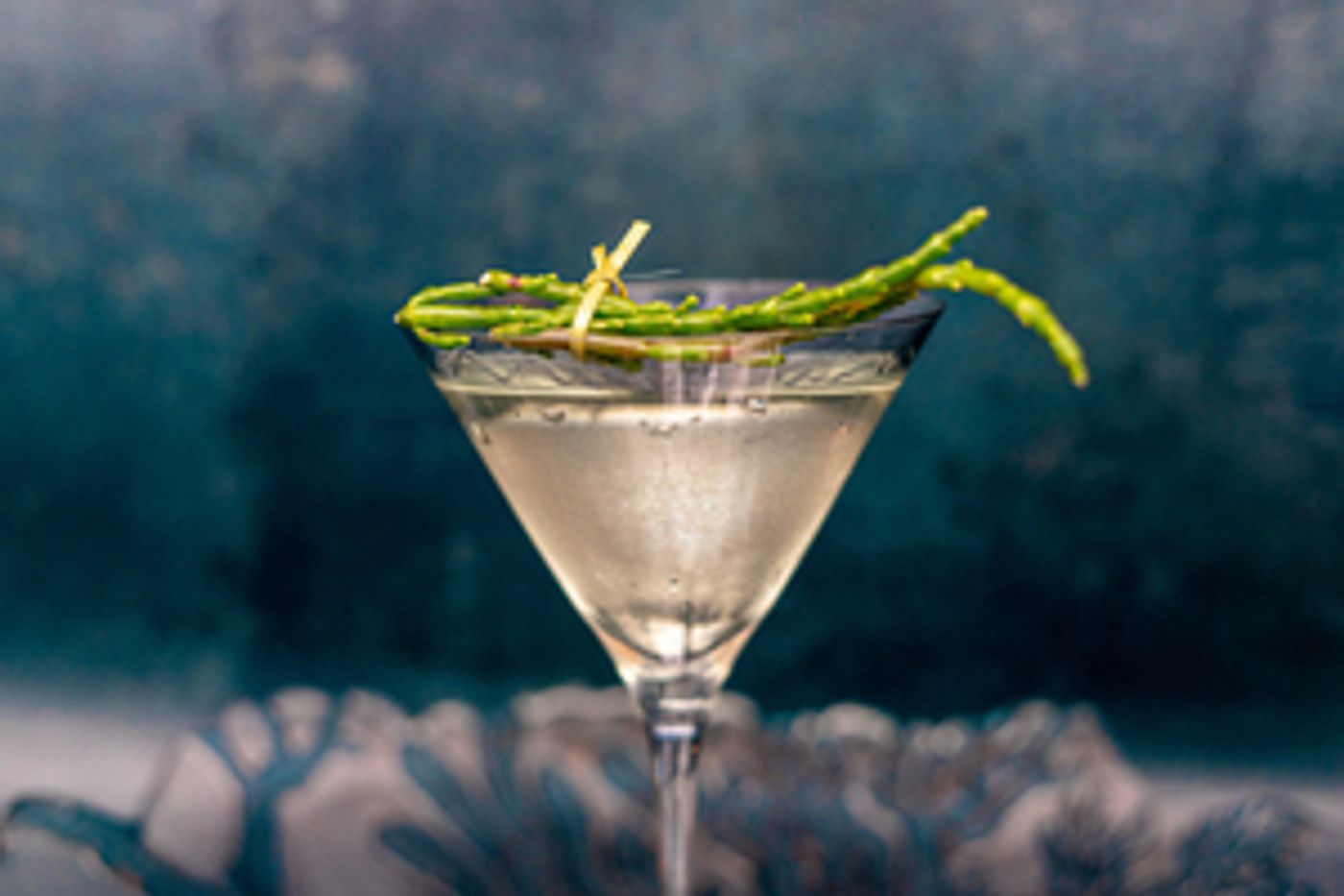 GINuary is Here-Our Gin Selections for January and Beyond  Image