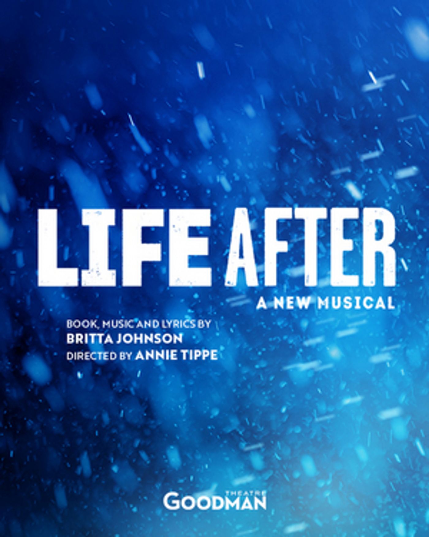 THE OUTSIDERS Musical Adaptation Postponed at Goodman Theatre; Two Productions Added to 2021/2022 Season THE OUTSIDERS Musical Adaptation Postponed at Goodman Theatre; Two Productions Added to 2021/2022 Season Image