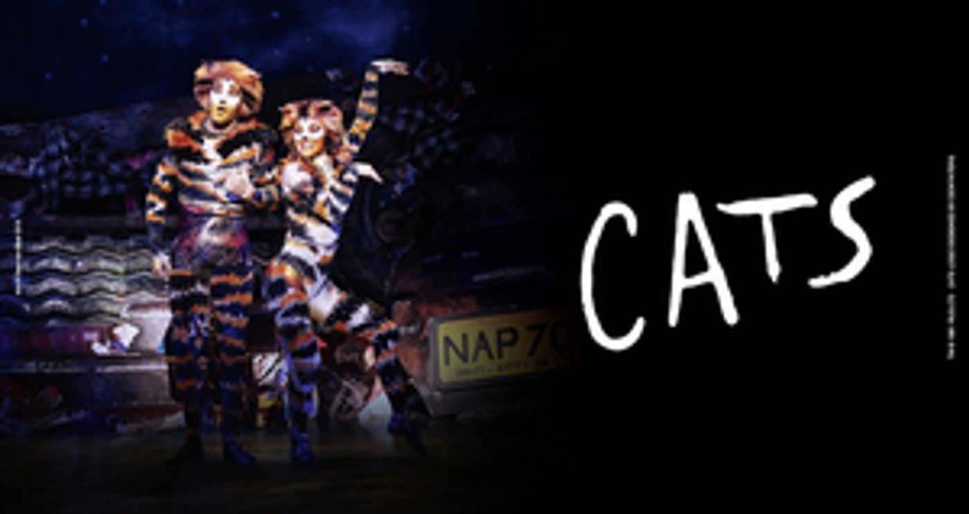 CATS at Musical Vienna Cancelled Through 9 January CATS at Musical Vienna Cancelled Through 9 January Image